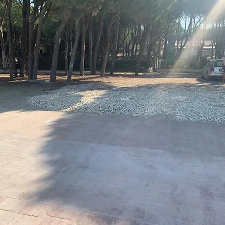 Vila Seafront With A Stunning Garden