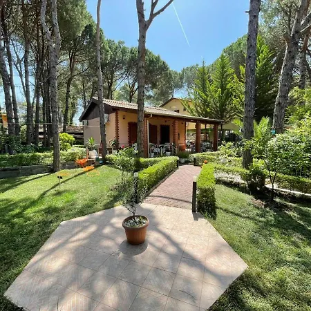 With A Beautiful Garden *