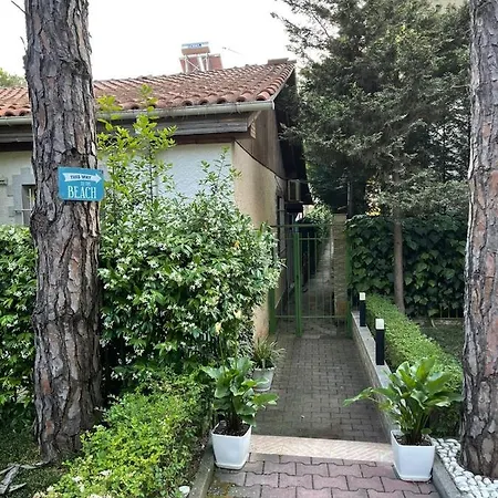 With A Beautiful Garden Golem (Tirana)